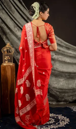 A woman wearing a red saree with intricate silver patterns, styled with a backless blouse and traditional hair accessory.