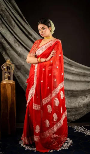 Red Handloom Pure Chiffon Banarasi Saree