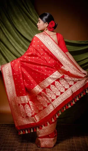 Red handloom pure silk Banarasi saree with gold zari floral border, polka butti motifs and tasselled pallu