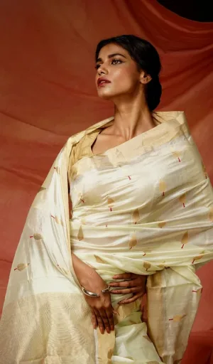 A woman draped in a handloom pure silk Chanderi saree with intricate patterns, posing gracefully against a soft backdrop.