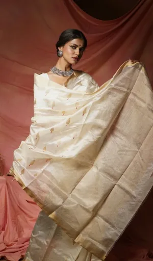 Model draped in a handloom pure silk Chanderi saree with intricate golden motifs and a contrasting border, showcasing traditional Indian attire.