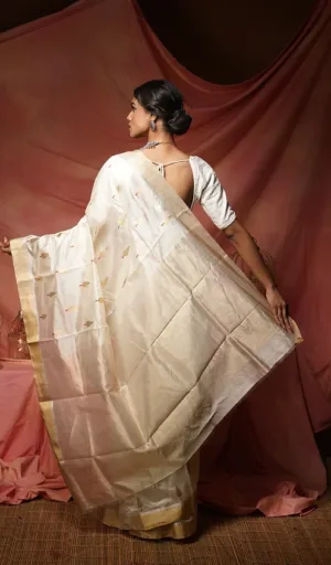 A woman wearing a handloom pure silk Chanderi saree with intricate designs, showcasing the drape and texture from a back view.