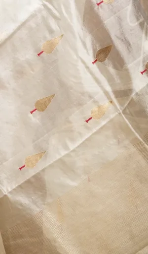 Handloom pure silk Chanderi fabric with intricate leaf motifs and red accents, showcasing a delicate and lightweight texture.