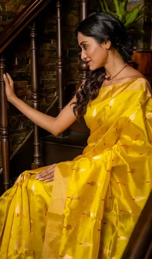 A woman seated on stairs wearing a yellow handloom silk Chanderi saree with subtle patterns, styled with a necklace and soft waves in her hair.
