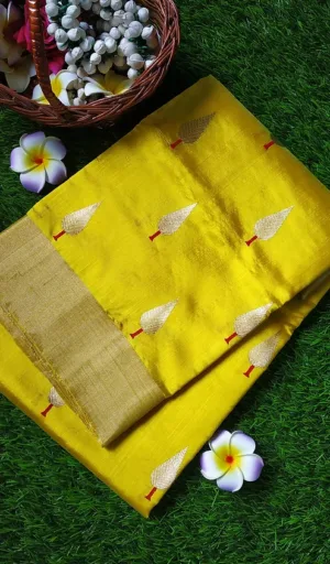 Handloom pure silk Chanderi saree in vibrant yellow with intricate embroidery patterns and a contrasting border.