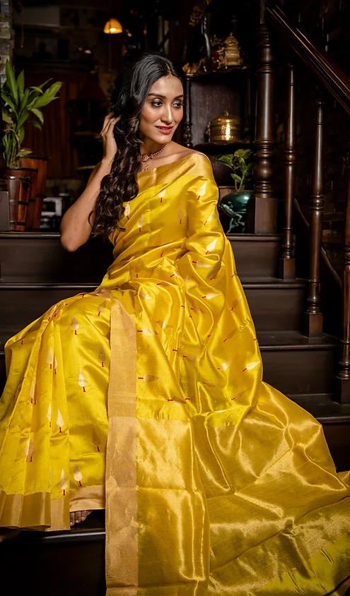 Handloom-Pure-Silk-Chanderi-Saree-main Golden Yellow Handloom Pure Silk Chanderi Saree