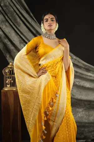 Model wearing a yellow handloom khadi georgette Banarasi saree with intricate patterns and tassels, styled with traditional jewelry.