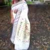White Cotton Paithani Saree