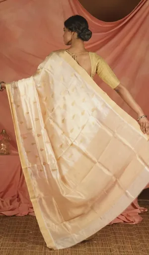 A woman draped in a handloom pure silk Chanderi saree with a light golden hue and intricate patterns, showcasing the fabric's texture and design.
