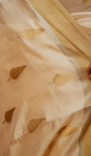 Handloom pure silk Chanderi fabric with intricate leaf motifs in gold on a soft beige background.