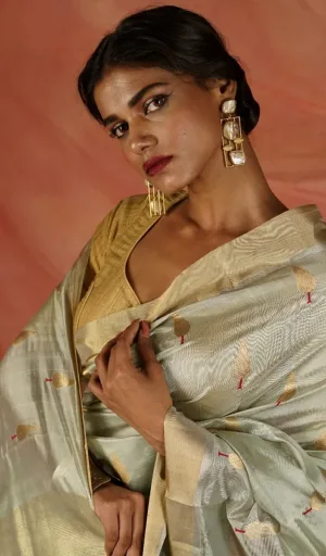 Model wearing a handloom pure silk Chanderi saree with intricate designs, complemented by statement earrings and styled hair.
