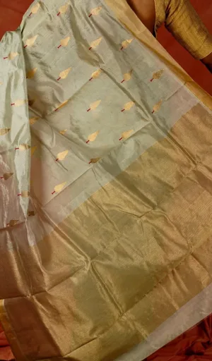 Handloom pure silk Chanderi saree with a light green and gold color scheme, featuring intricate gold motifs throughout the fabric.