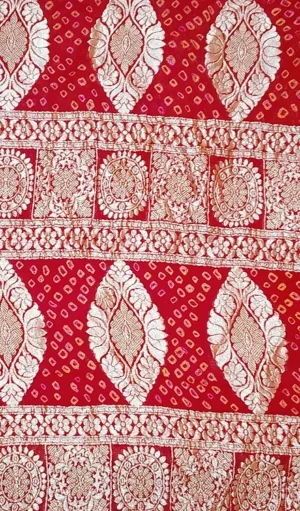 Handwoven Pure Chiffon Banarasi saree in deep red with intricate gold zari floral and paisley motifs. The design features elegant diamond-shaped patterns and a delicate gold border, offering a luxurious traditional look.