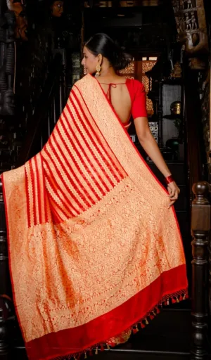 A woman wearing a red blouse and a handwoven khadi georgette Banarasi saree, showcasing intricate patterns and a contrasting border.