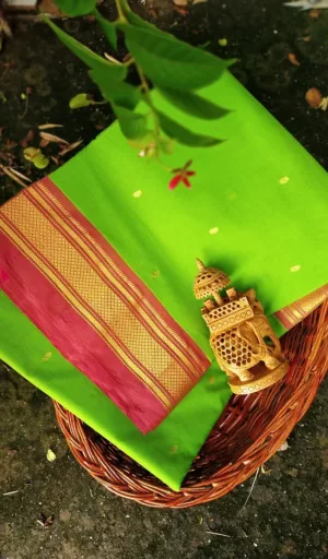 mugdha handloom parrot green cotton beautiful paithani saree